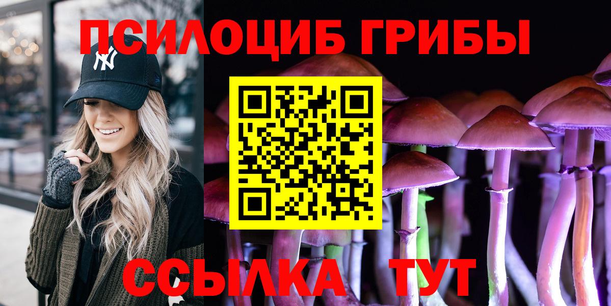Псилоцибиновые грибы мицелий Краснознаменск