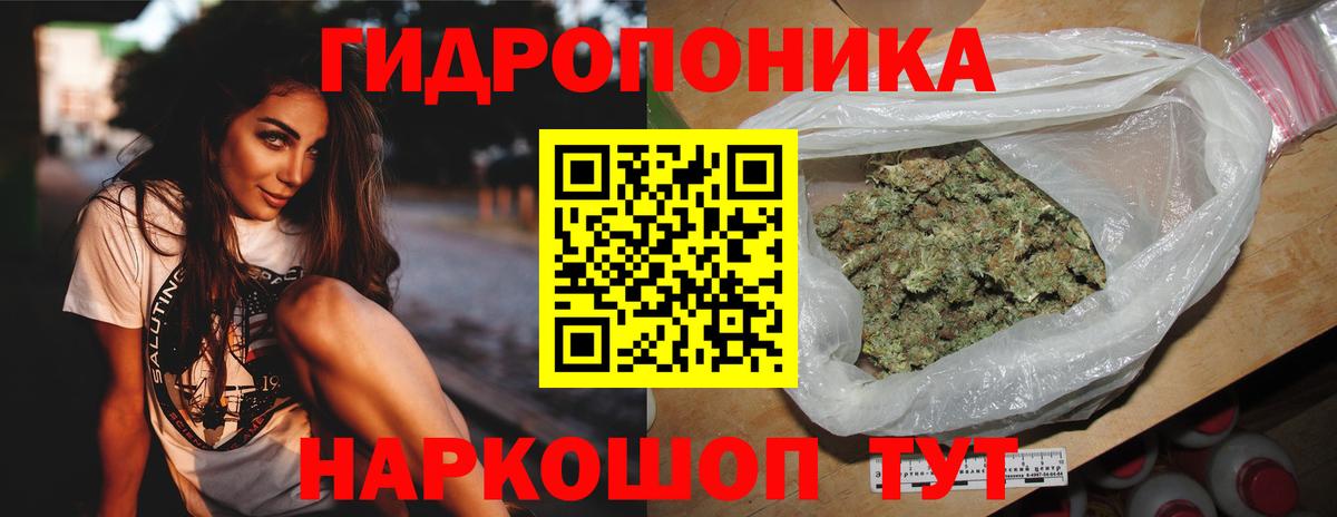 Конопля конопля  Бошки марихуана ГИДРОПОН  Каннабис MAZAR  Краснознаменск  Канабис конопля  Вход с VPN 